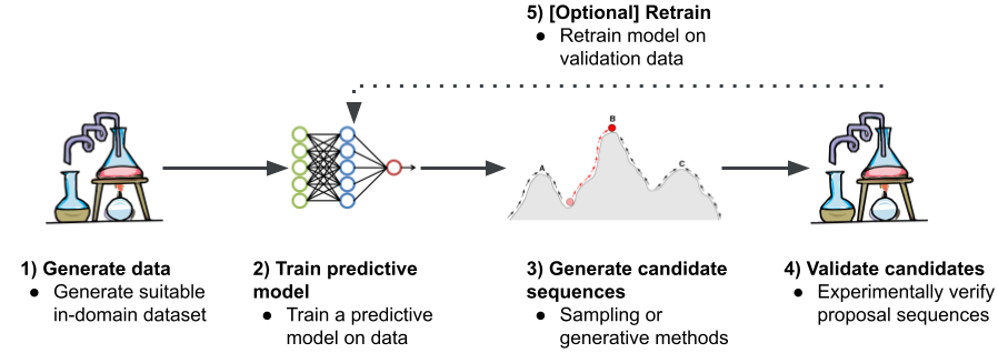 Схема рабочего процесса вычислительного проектирования ДНК и РНК