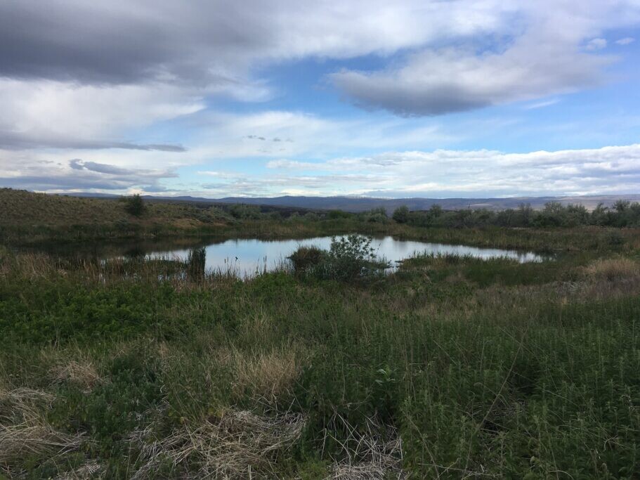 Небольшое болото в засушливой Восточной Вашингтон с отражением неба в воде