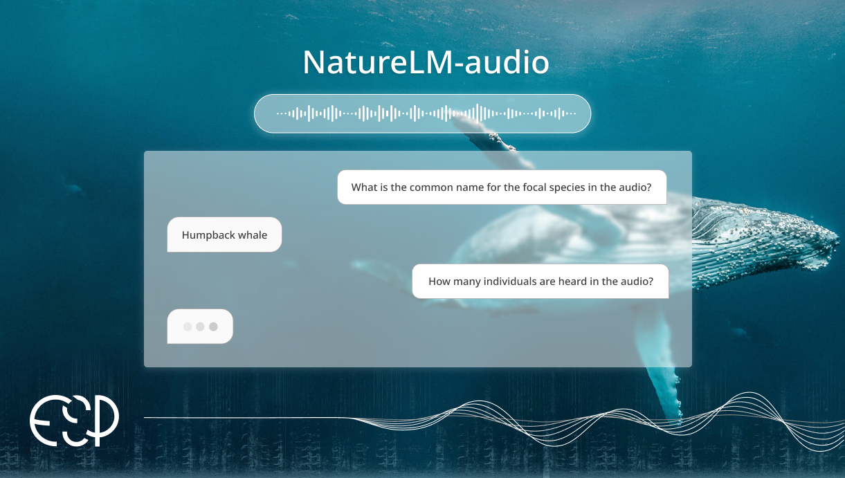 Скриншот интерфейса NatureLM-audio для анализа звуков животных