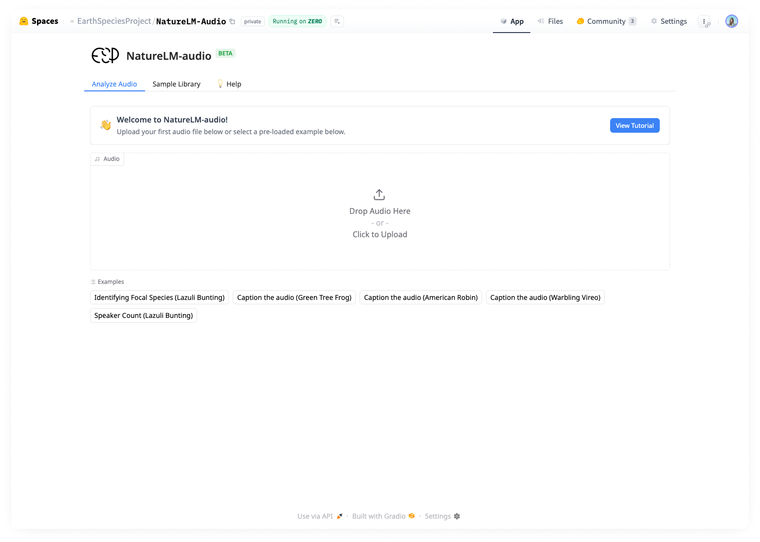 Целевая страница Hugging Face Space для проекта NatureLM-audio