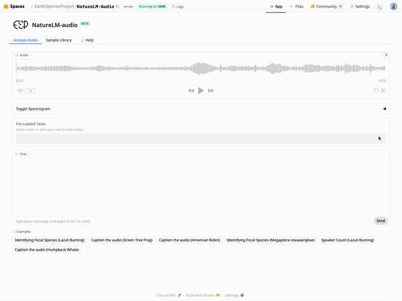 GIF-демонстрация выбора задачи и написания промпта в интерфейсе NatureLM-audio